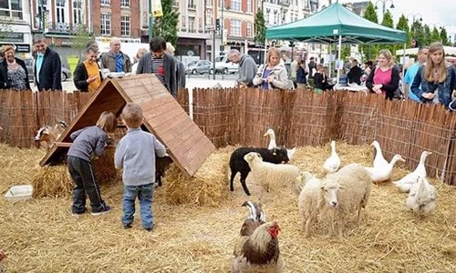 Animation animaux : ferme itinérante, ferme en ville